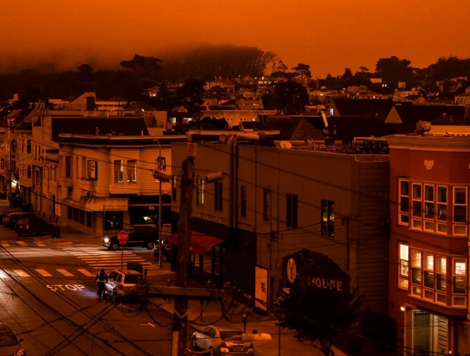 FIRES HAVE CLOSED THE FORESTS ON THE WEST COAST